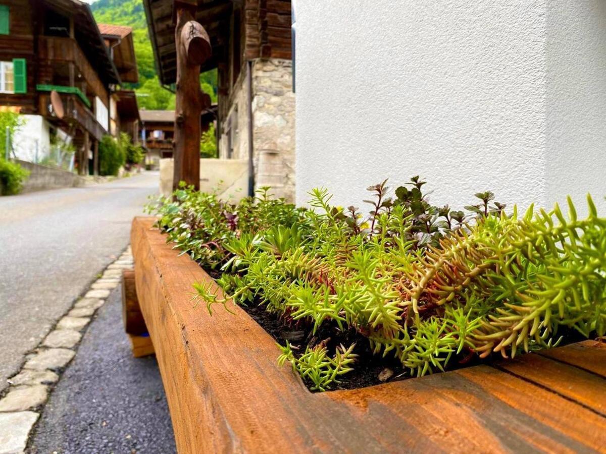 Beim Brunnen Apartment Gsteigwiler Bagian luar foto